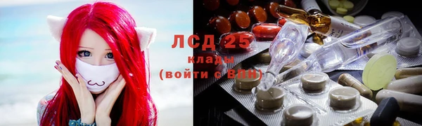 стафф Арсеньев