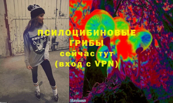 стафф Арсеньев