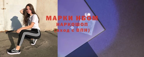 стафф Арсеньев