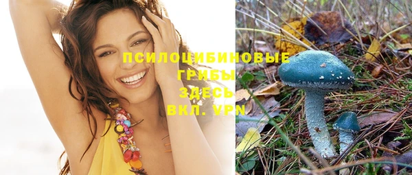 амф Абинск