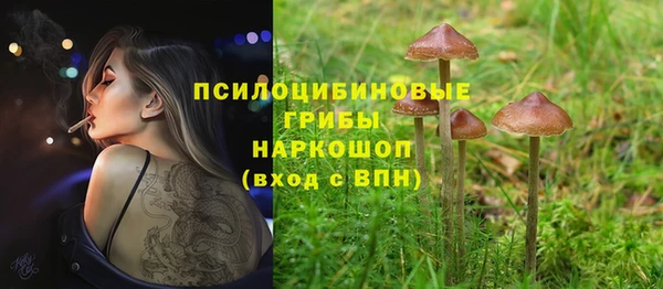стафф Арсеньев