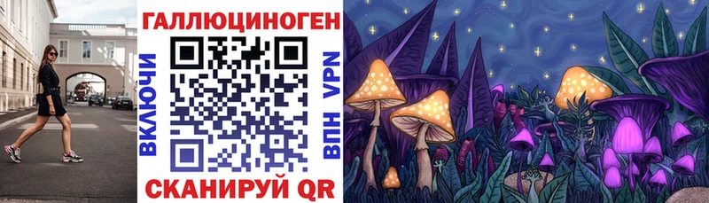 Галлюциногенные грибы Magic Shrooms  Чебоксары 